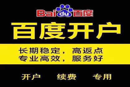 高效百度竞价策略分享与案例